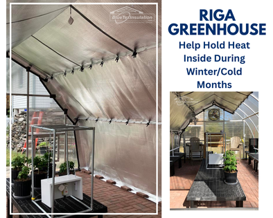Case Study: How BlueTex Reflective Insulation Transformed A Gardener’s Greenhouse for Winter