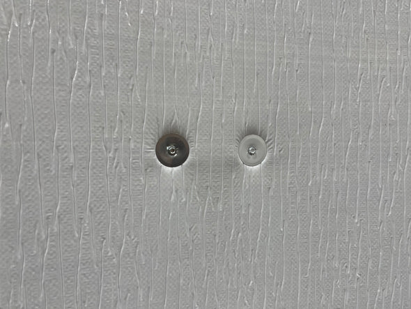 unpainted screw and washer set compared to screw and washer set that has been painted white